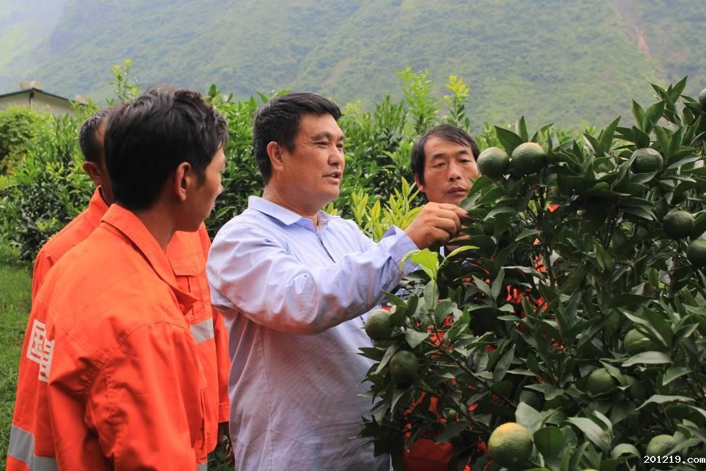 1584345965691657.jpg 1584345965691657.jpg